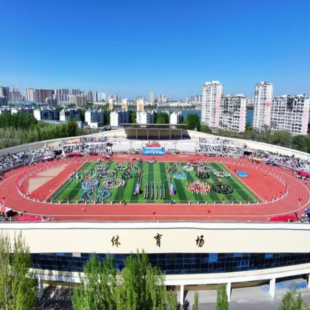 足球杯赛焦点对决:阵容解读第278组深度分析